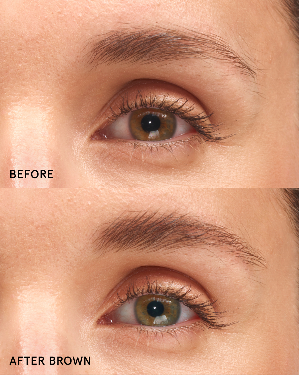 Boy Brow Duo